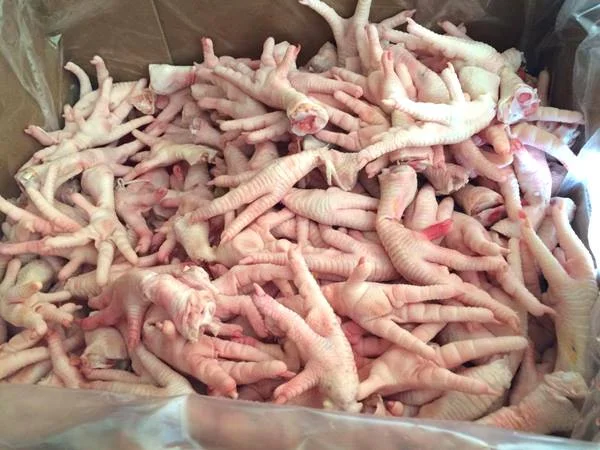 The World’s Largest Chicken Exporters
