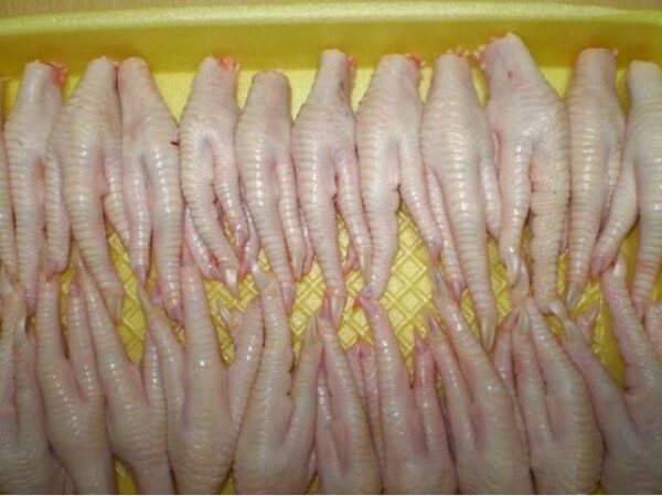 Where to Buy Frozen Chicken Paws in Bulk