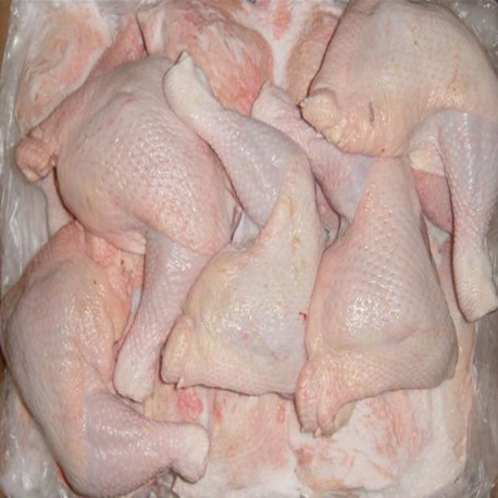 Frozen Chicken Feet Exporters